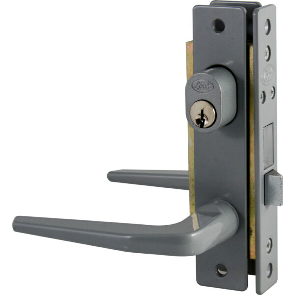 Cerradura clásica para puerta de aluminio función sencilla, gris, llave estándar Lock - Ferrechingón